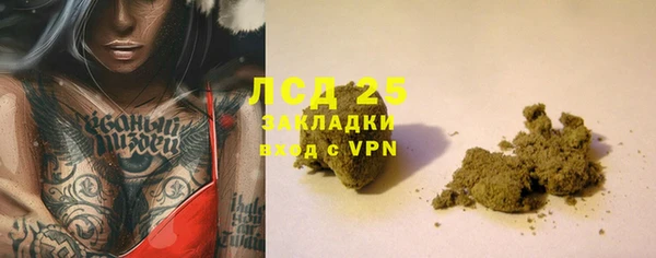 индика Армянск