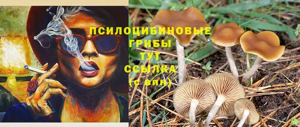 винт Арсеньев