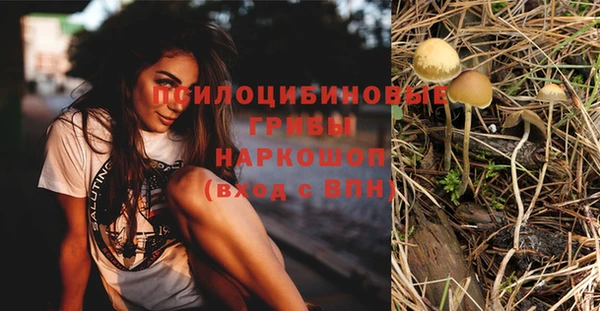 бутират Аркадак
