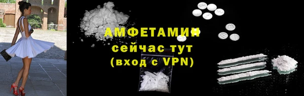 индика Армянск