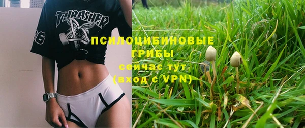 винт Арсеньев