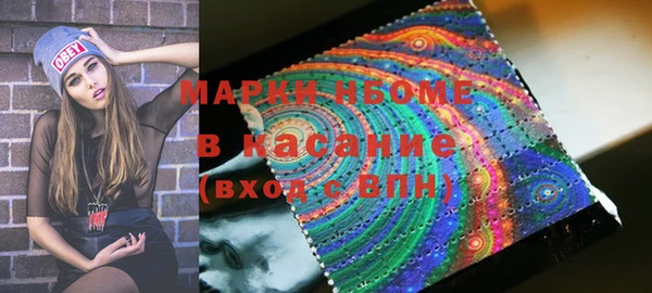 индика Армянск