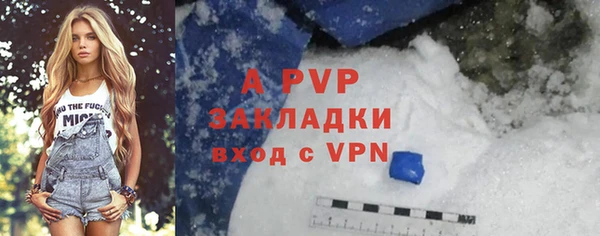 индика Армянск